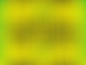 COVID-19 Protecting the people we visit and our Surveyors