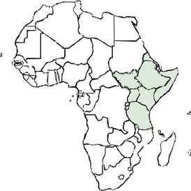 Volunteering in the Community - East Africa