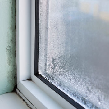 Condensation & Mould