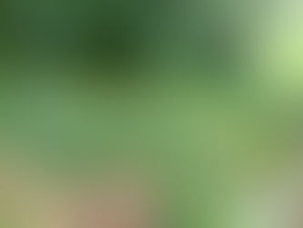 Boundary Agreement Image