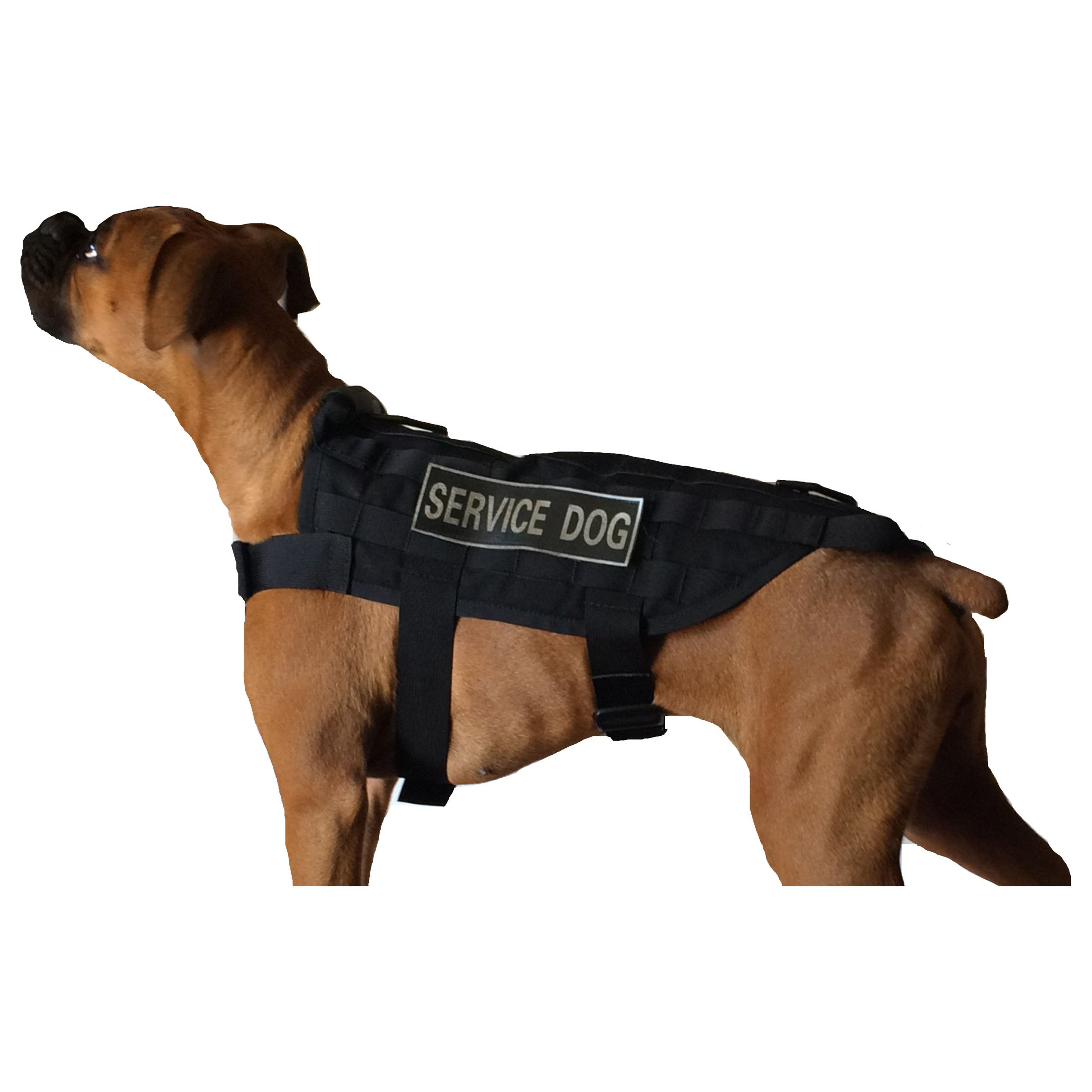 tactical dog jacket