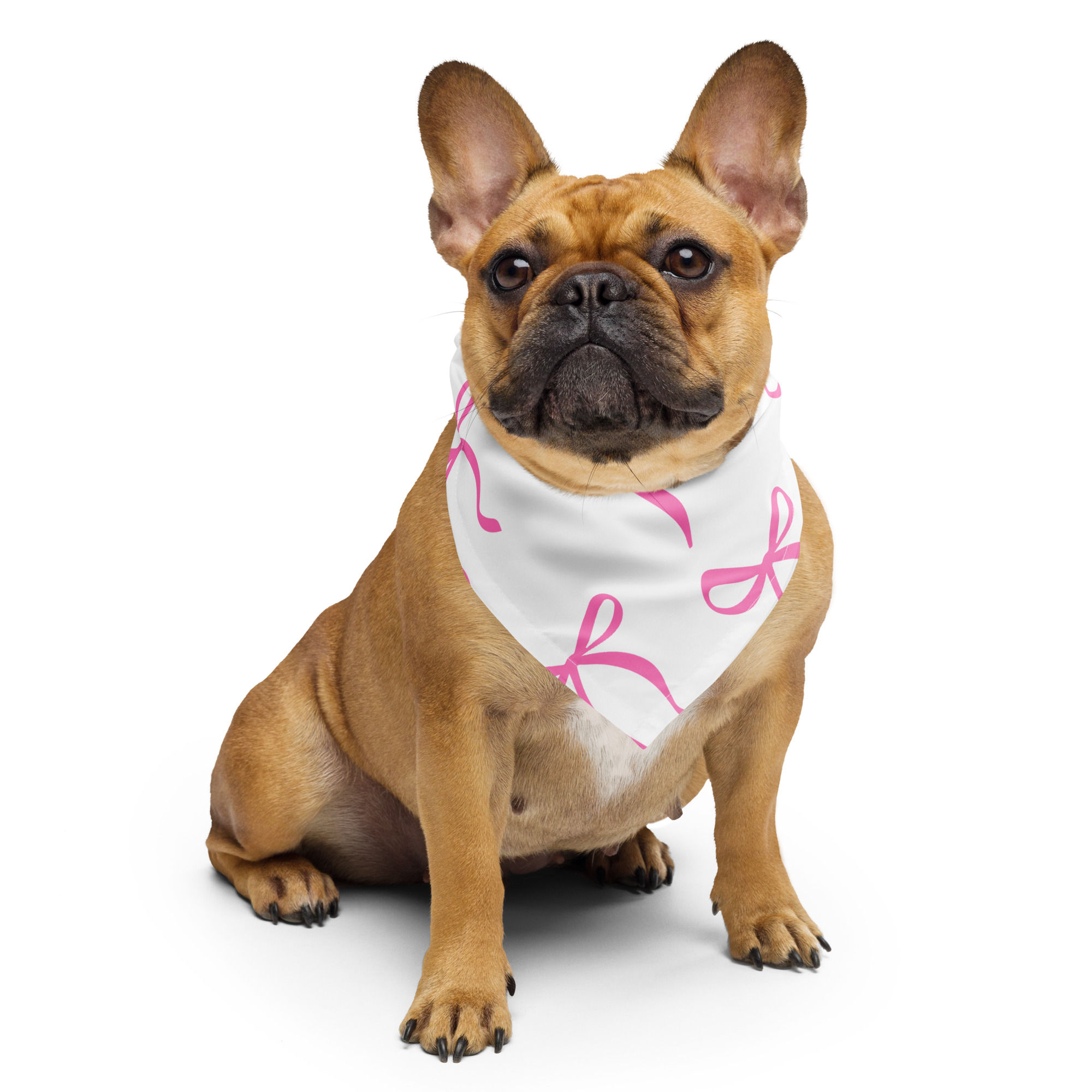 Pink Coquette All-over print bandana