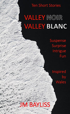Valley Noir - Valley Blanc E-BOOK rev A (2)_edited.jpg