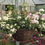 Thumbnail: 14" NEW White hanging basket