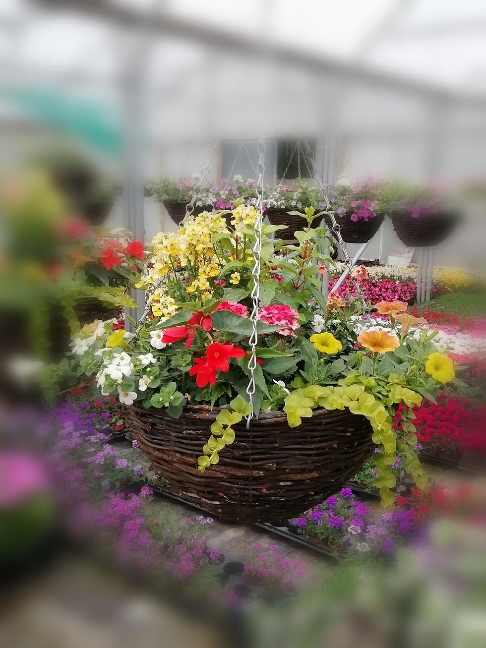 Thumbnail: Refill 18" Summer Basket