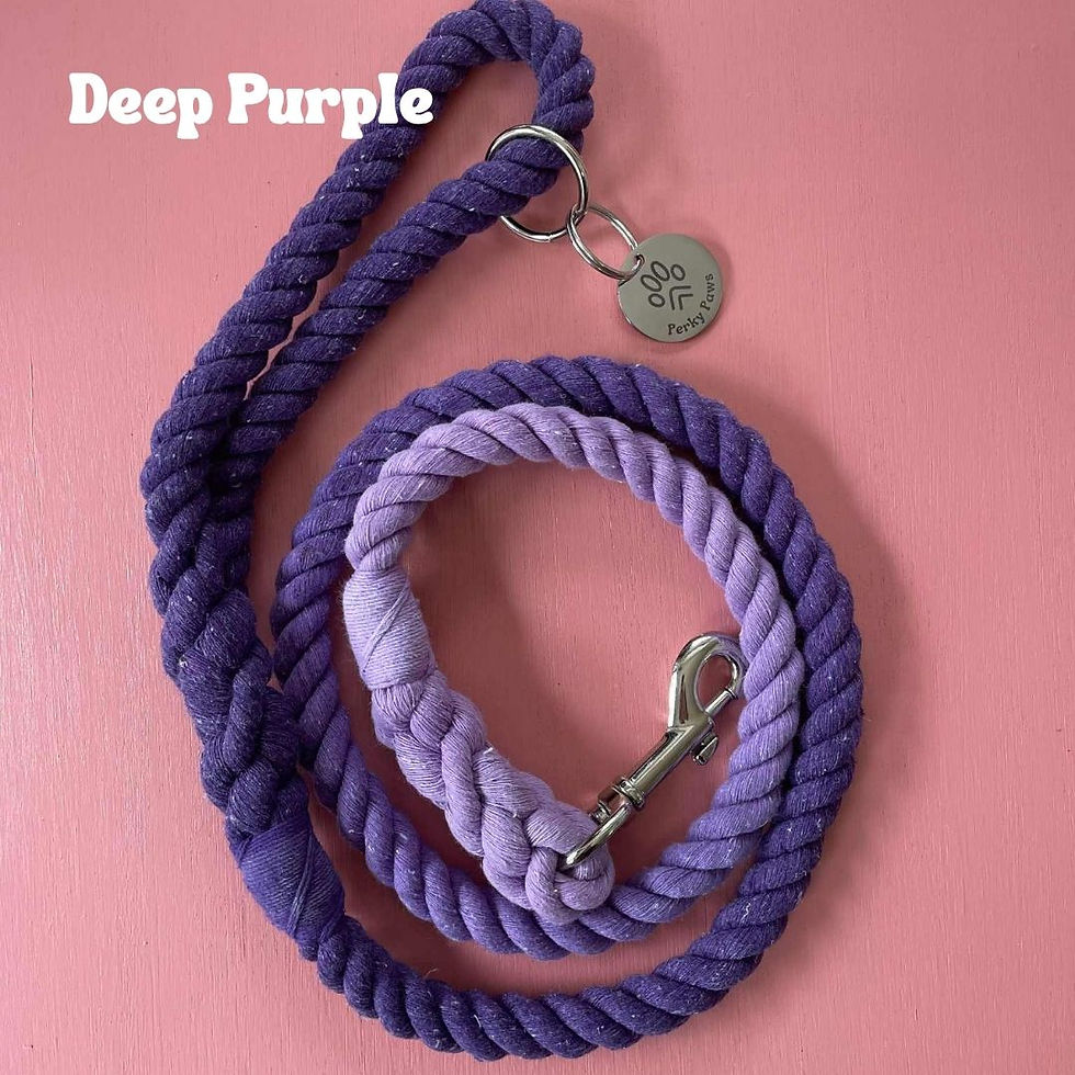 Thumbnail: Braided Cotton Rope Lead