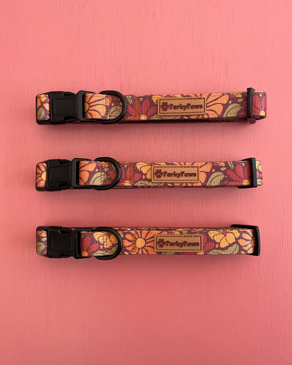 No-Pull Petal : Collar