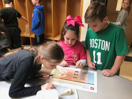 Winter 2018: Museum of Science Animal Adaptation program