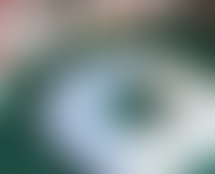 Passo a Passo - Guirlanda feltro