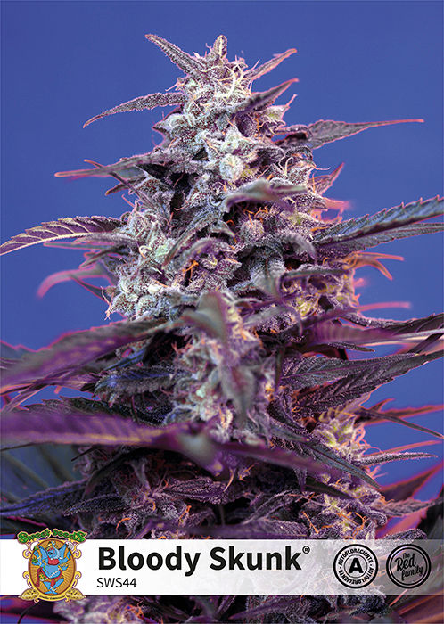 Bloody Skunk Auto®