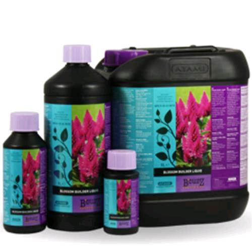 ATAMI B'CUZZ BLOSSOM BUILDER