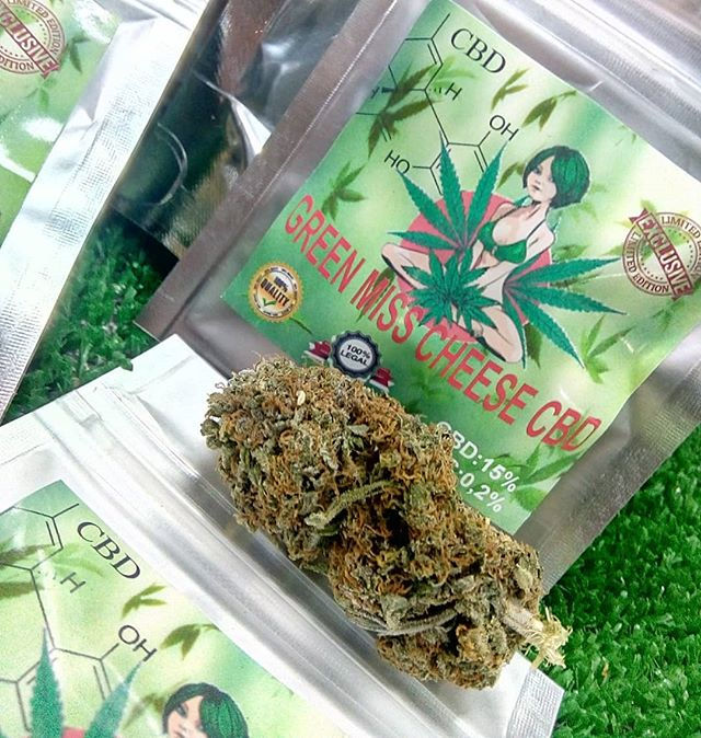 GREEN MISS CHEESE CBD-Cannabis Light