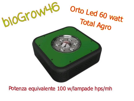 ORTOLED BASESTAR 60W REALI