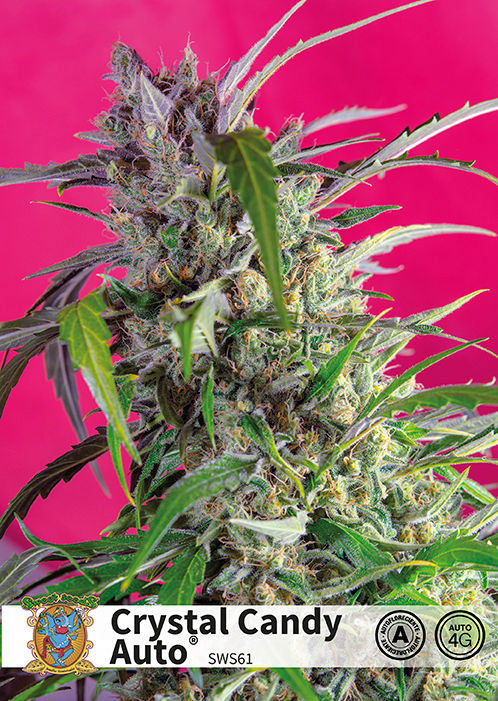 Crystal Candy Auto®