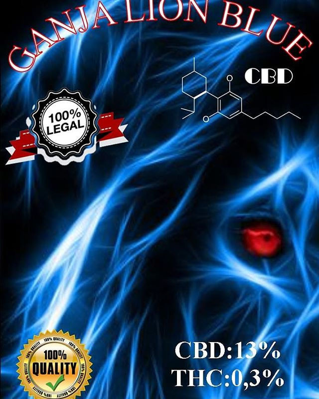 GANJA LION BLUE CBD-Cannabis Light