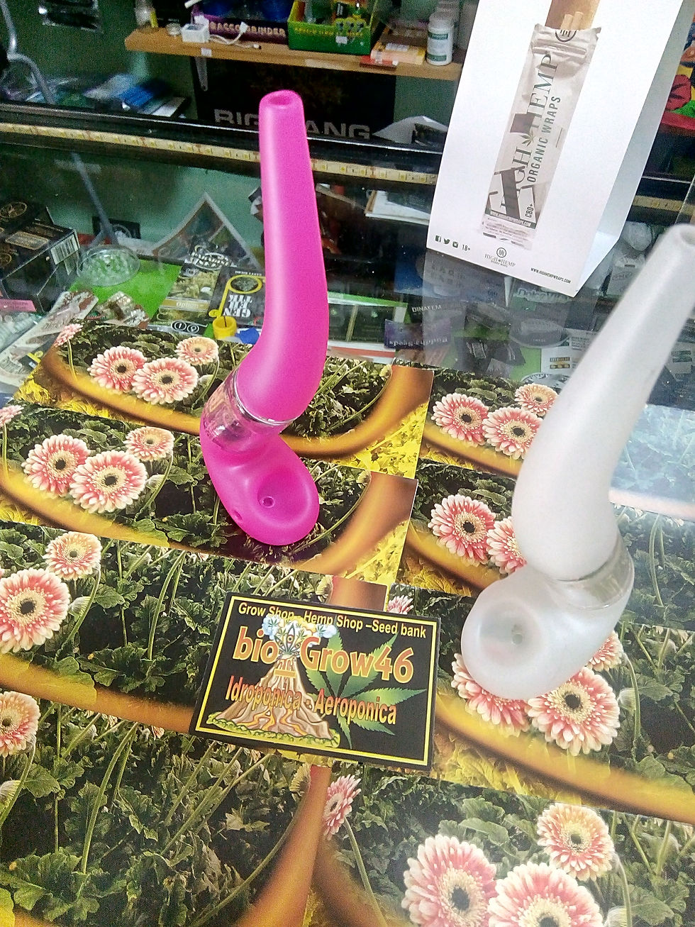 Glass Water pipe with Percolator