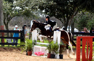 trinity university equestrian team