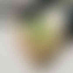 дуже смачний веганський рослинний бургер в руці фаст фуд