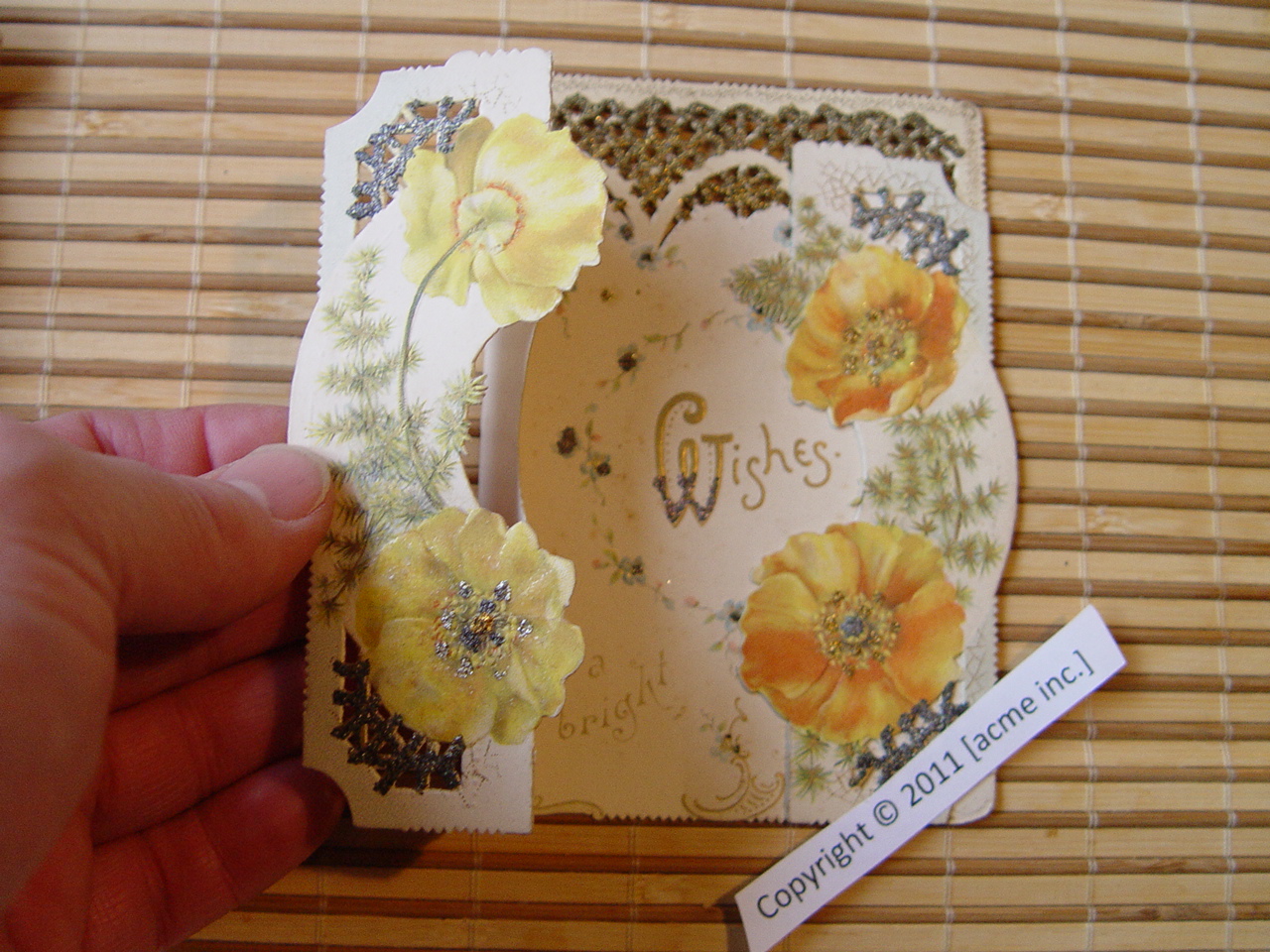 http://www.acme-inc.co.uk/greetingscards/DSC05480.jpg
