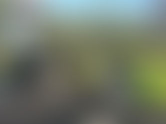 新入社員研修