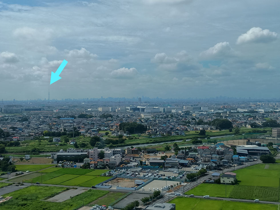 見学した日はスカイツリーも観れました🤗