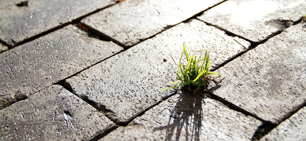 street-675224_1920_edited.jpg