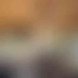 Screened-in porch with natural light and greenery