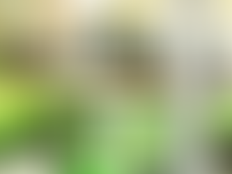 Builders And Salespeople