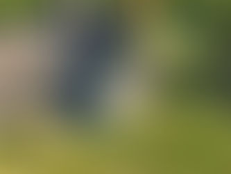 OnDeck Outdoor project management and execution