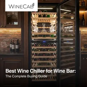 Best Wine Chiller for Wine Bar: The Complete Buying Guide