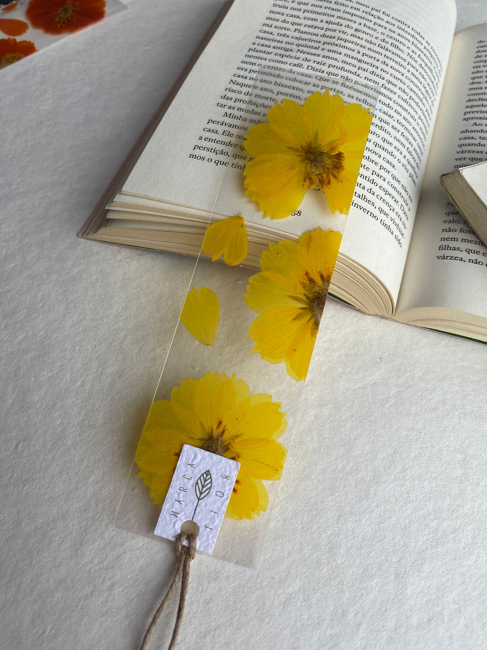 Miniatura: Retangular Cosmos Amarelo