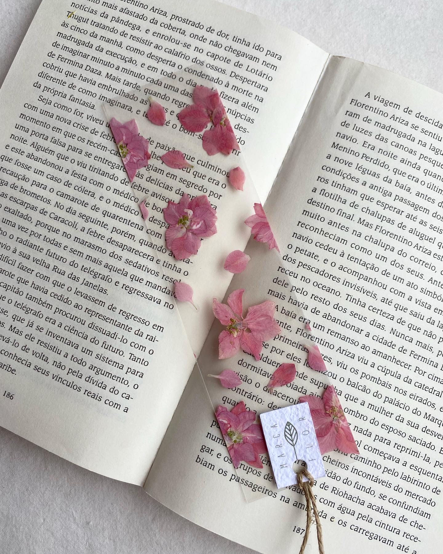 Retangular Delfínio Rosa