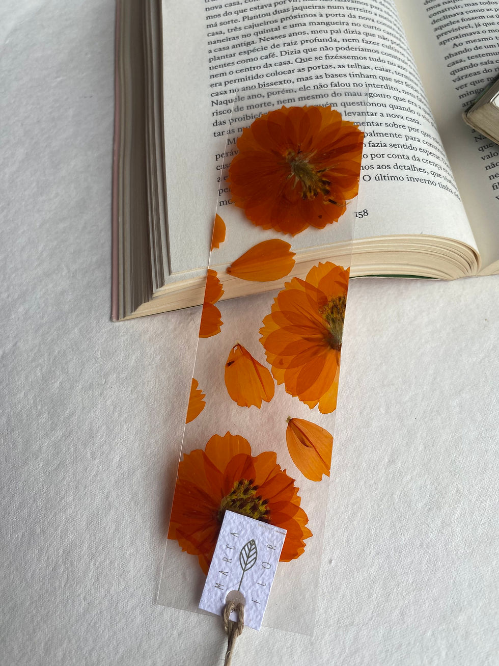 Miniatura: Retangular Cosmos Laranja