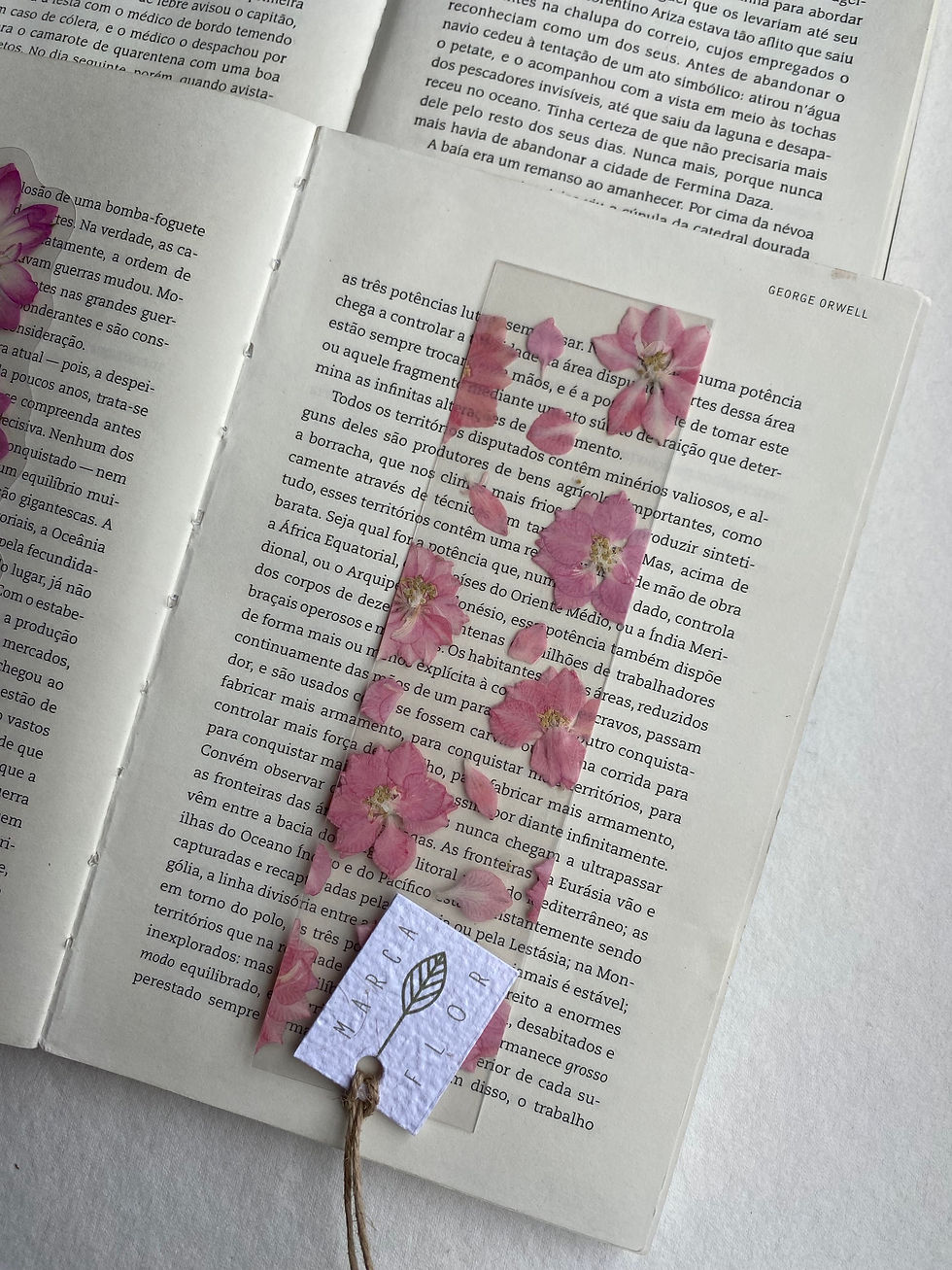 Miniatura: Duo rosa - Delfínio e Rosa