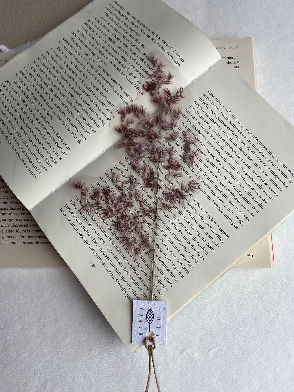 Miniatura: Capim de Natal