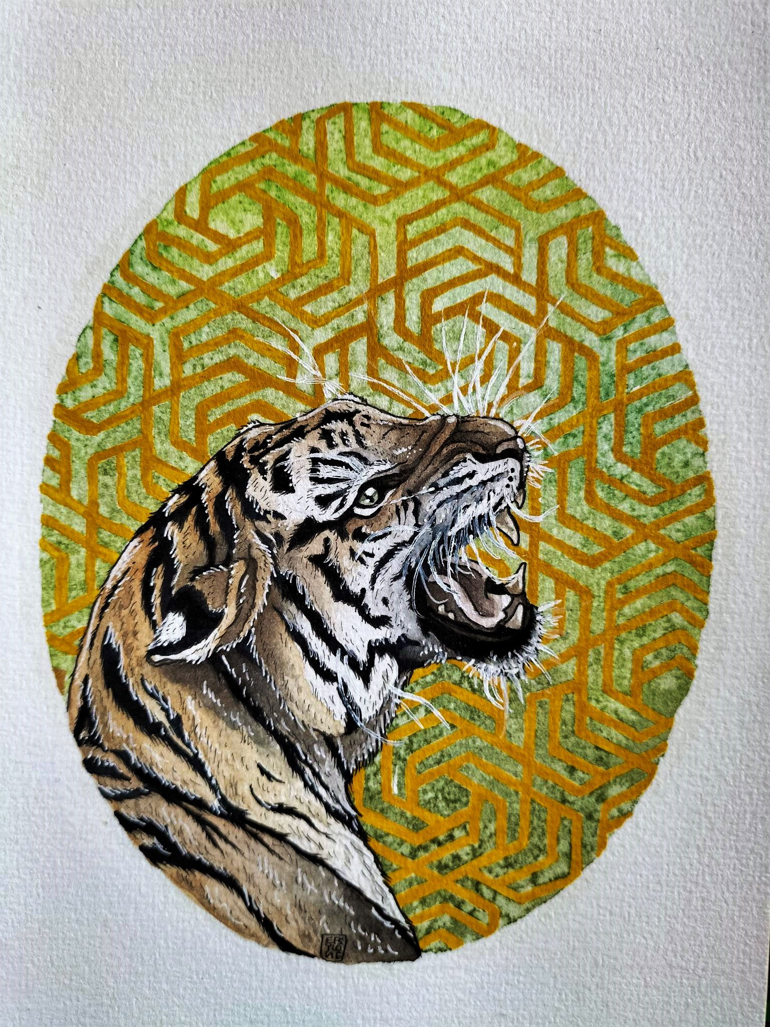 Tigre n°2