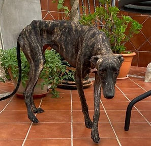 IMG-20220918-WA0001 (2)_edited.jpg