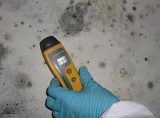 Mold-Testing-1024x768.jpg