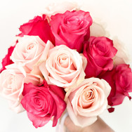 bild_artofflowers_rosen_zwei_farben.jpeg