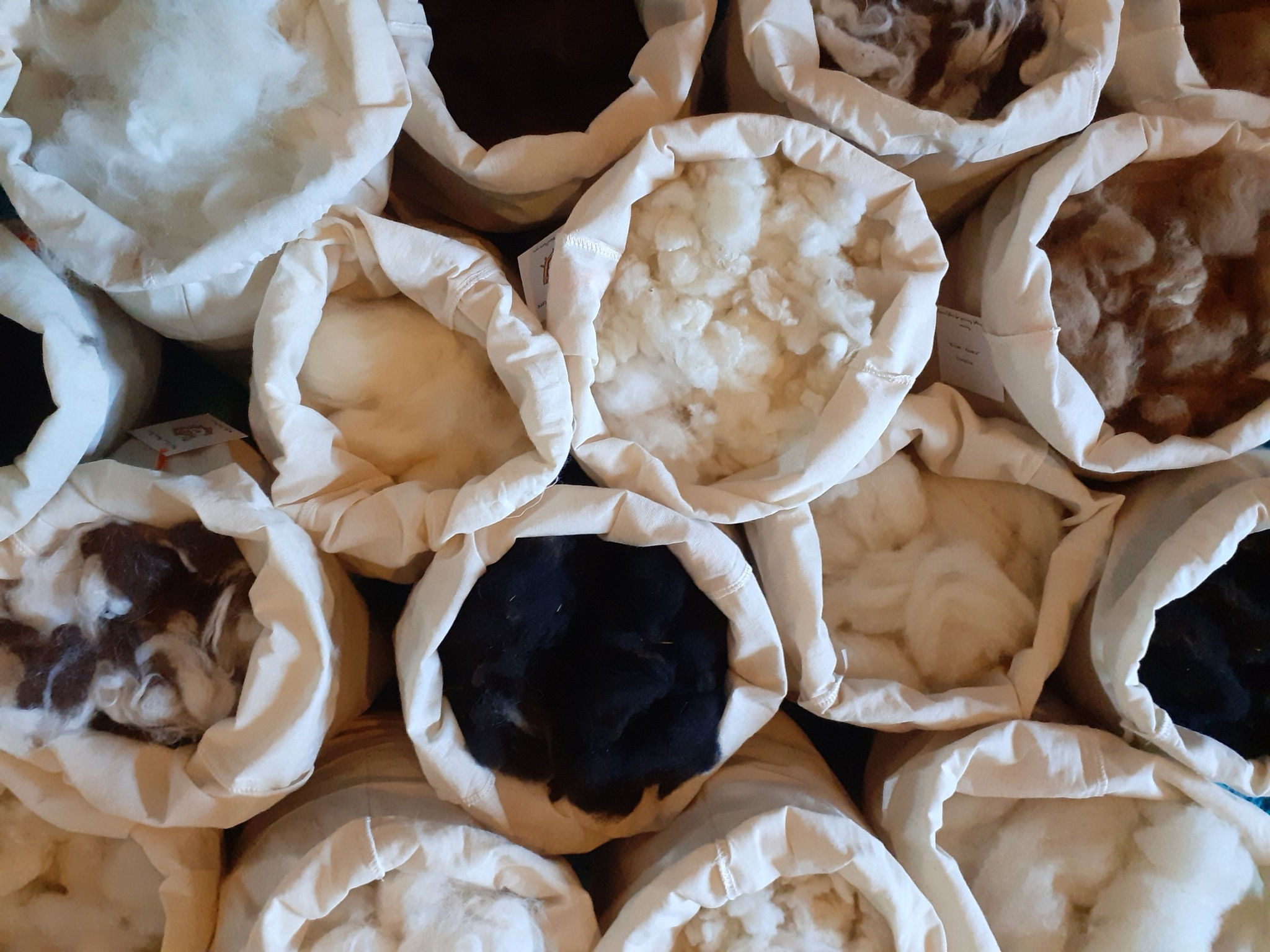 Crafternoon Tea - Wool Processing Sat 27th June