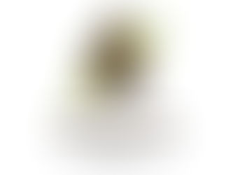 What is National Security Day?