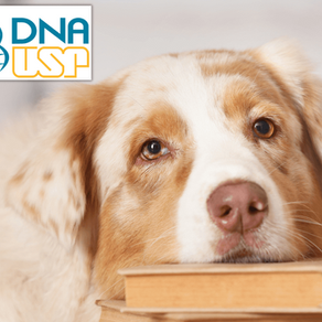 cachorro com focinho sobre um livro, com um selo de DNA USP. 