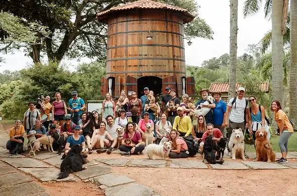 grupo-pessoas-cachorros-parque.webp
