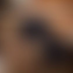 Cachorro em hospedagem pet friendly durante uma viagem