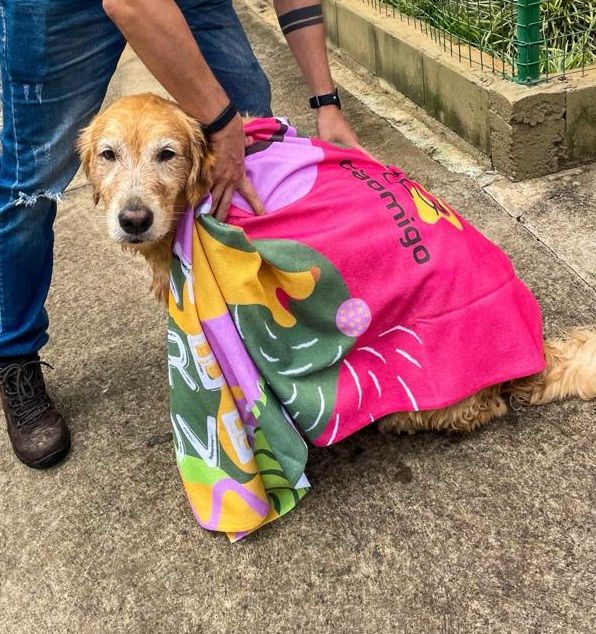 Miniatura: Toalha "Dog days are over"