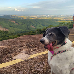 pico das cabras com cachorro quarteto fofástico
