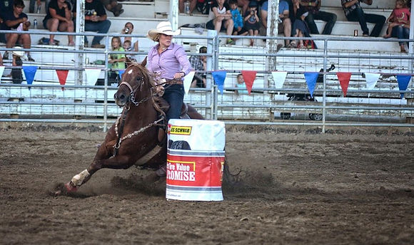 Border Days Rodeo Things to Do | sundown rv park