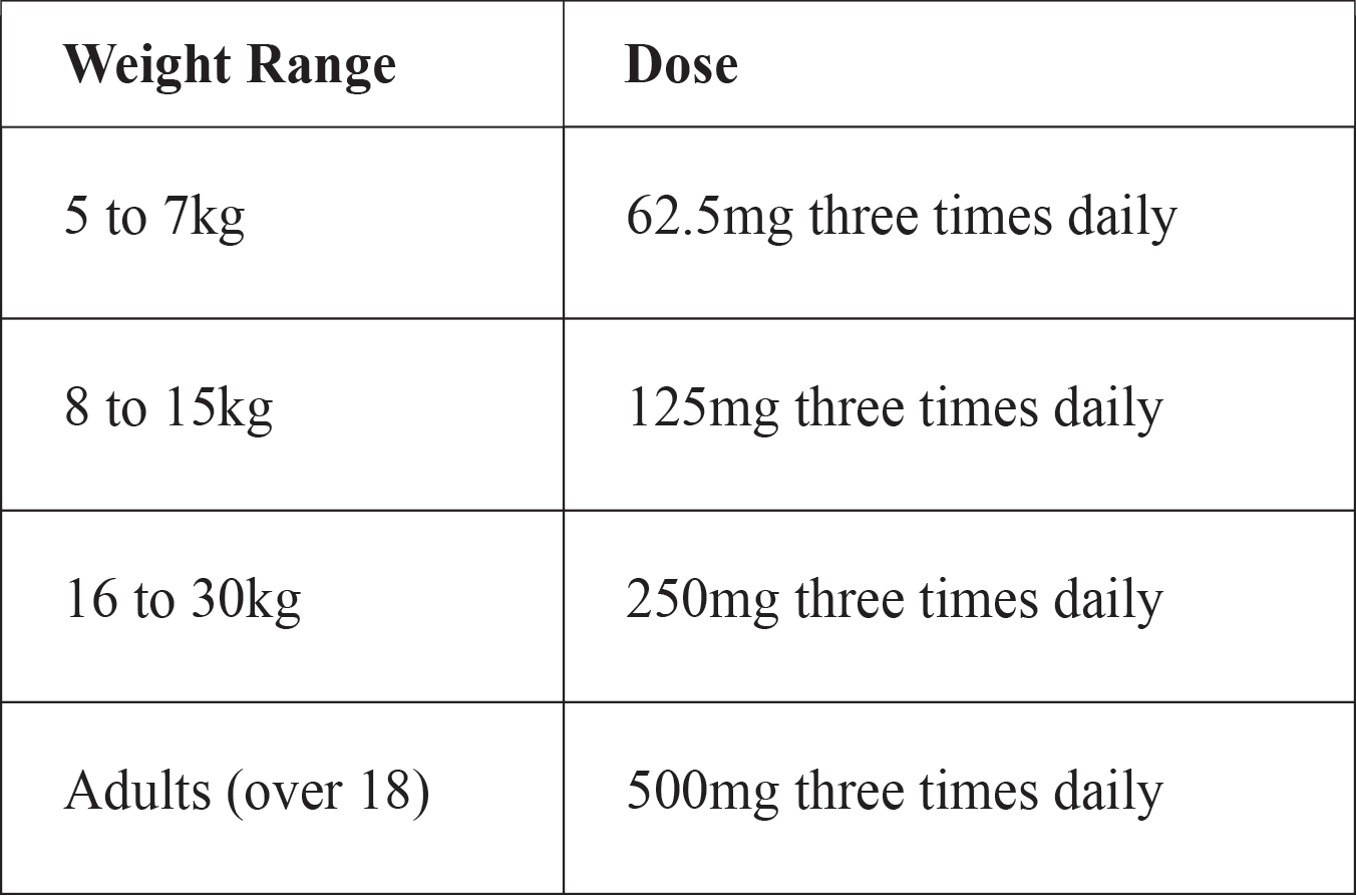 Amoxycillin-doses-large.gif