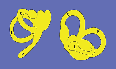 functional-pairs-2.gif