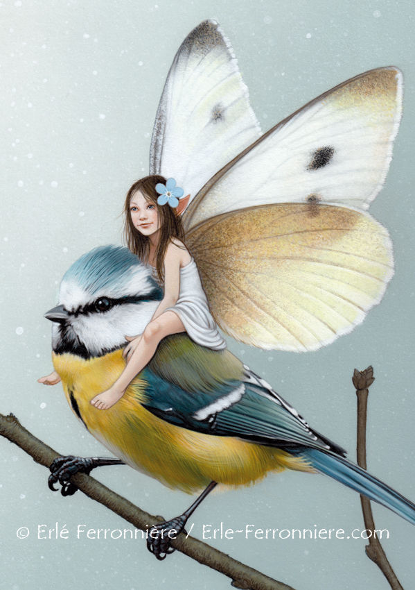 Miniature : La fée sur la mésange bleue / The fairy on the blue tit